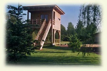 la cabane perchée de la Chouanniere