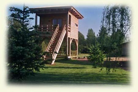 our gite, a cabin perched on stilts
