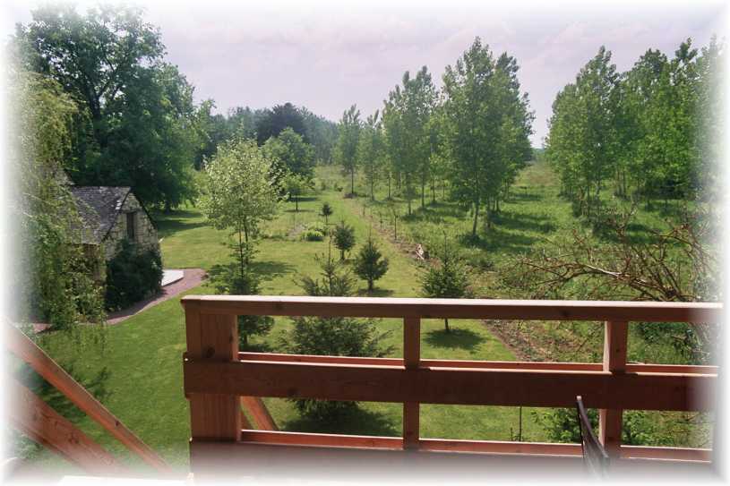 the balcony
